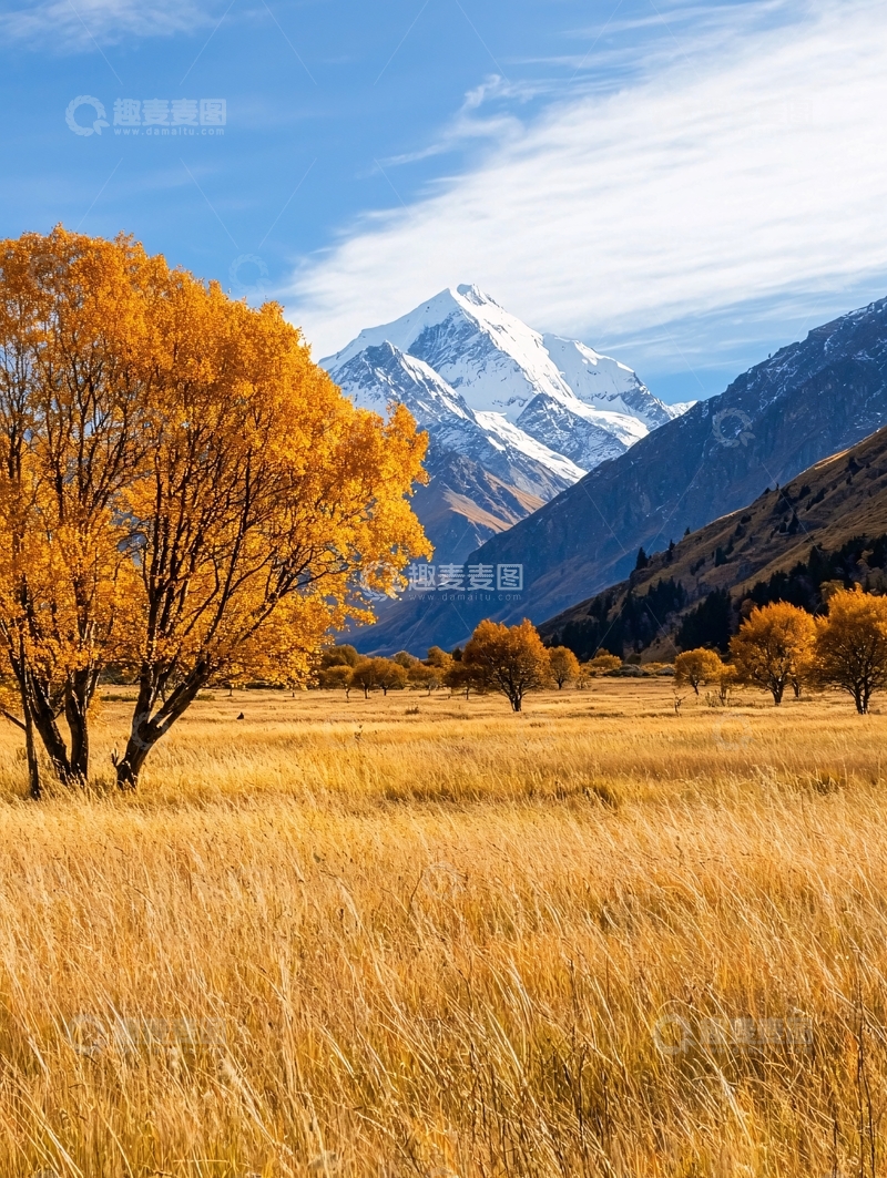 高清大图下载【趣麦麦图】秋日金黄草地雪山