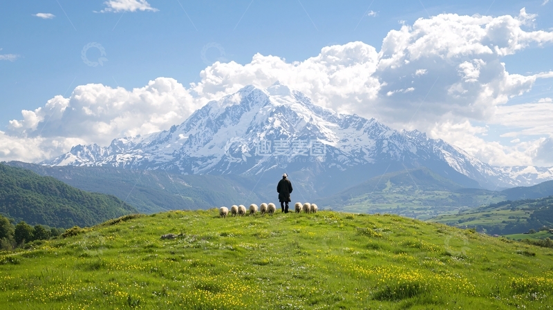高清大图下载【趣麦麦图】牧羊人与雪山下的羊群
