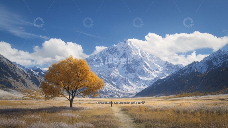 高清大图下载【趣麦麦图】雪山下的孤独树