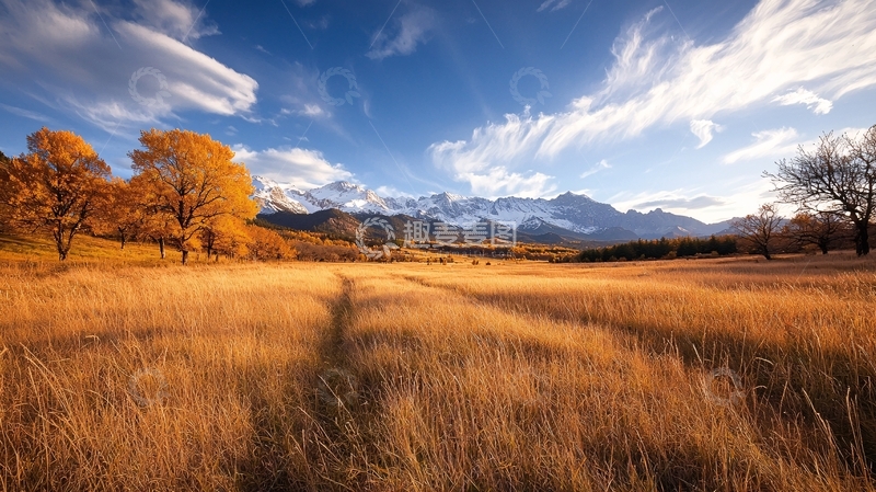 高清大图下载【趣麦麦图】秋日金色田野