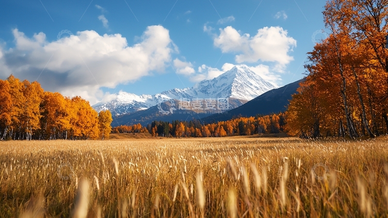 高清大图下载【趣麦麦图】秋日金色麦田雪山