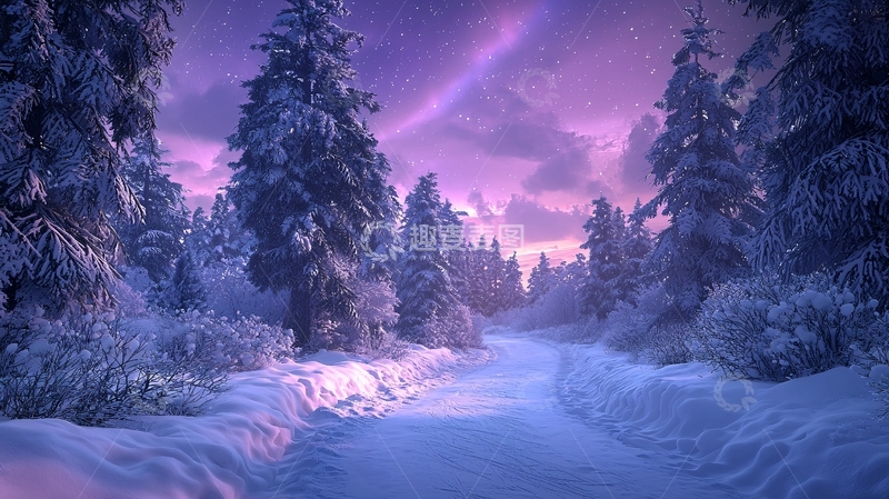 高清大图下载【趣麦麦图】冬夜雪景森林小径