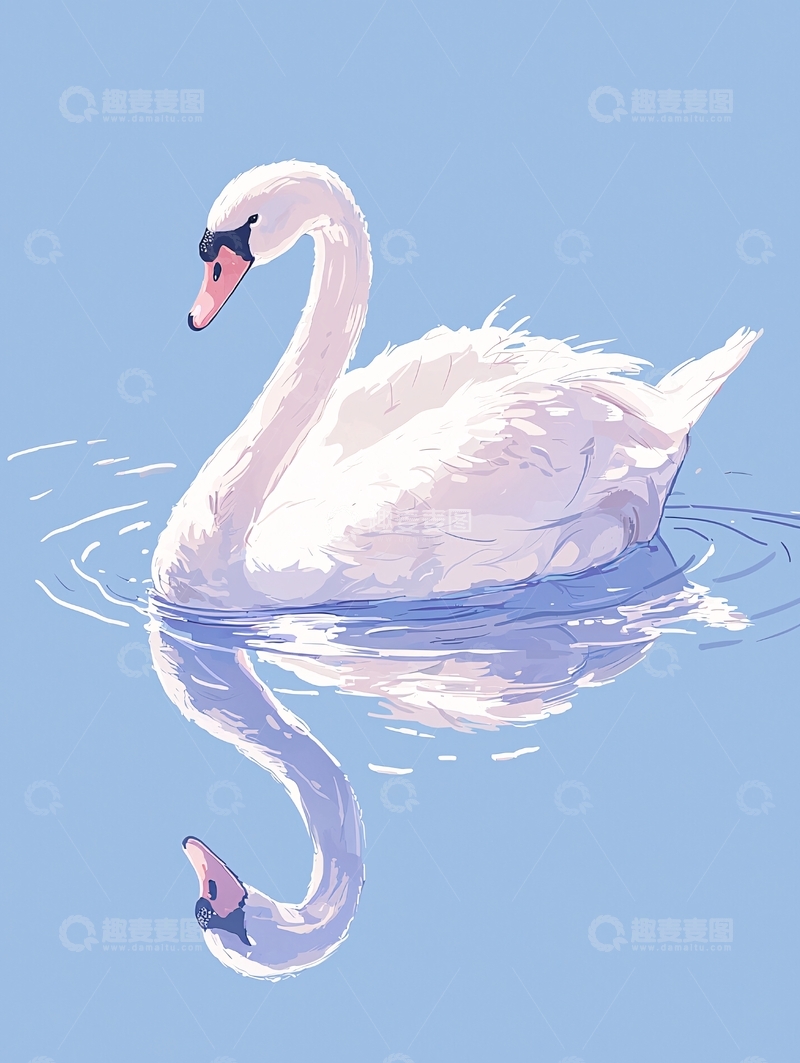 高清大图下载【趣麦麦图】水面优雅的白鹅