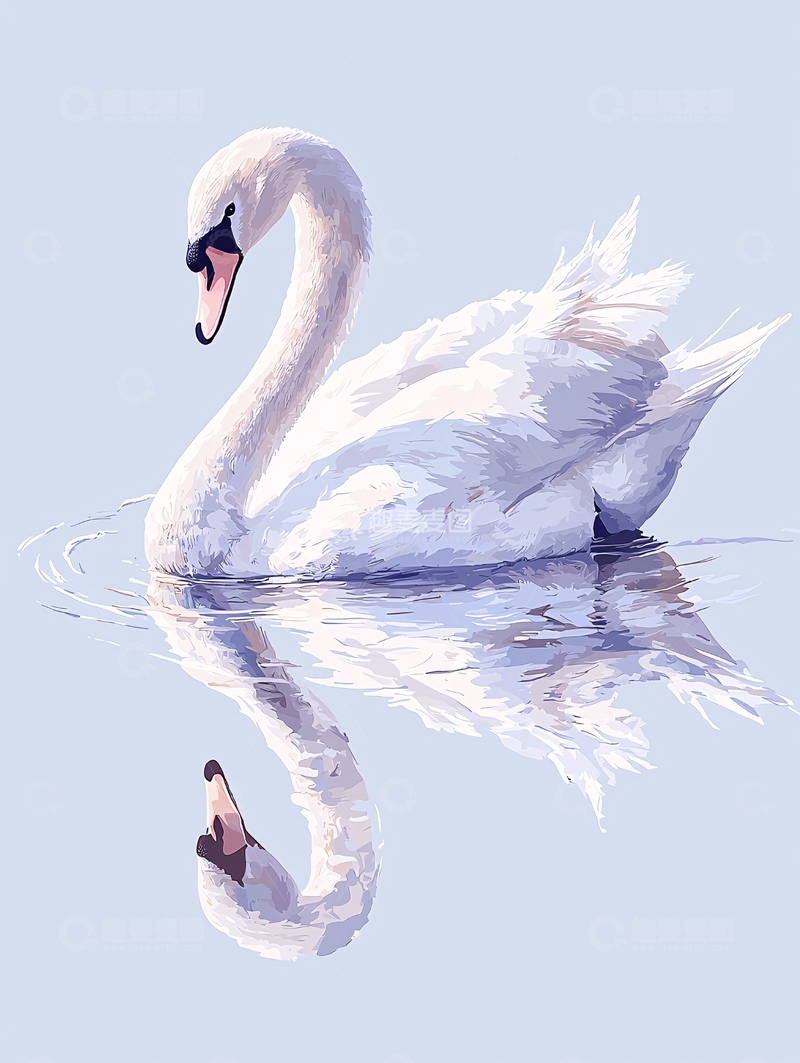 高清大图下载【趣麦麦图】白色天鹅水面优雅倒影