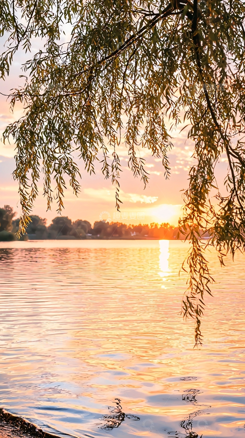 高清大图下载【趣麦麦图】夕阳下的湖畔柳树