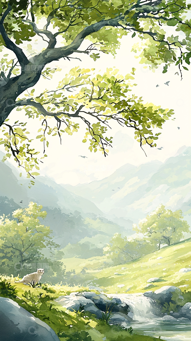 高清大图下载【趣麦麦图】山间小溪与猫的宁静时光