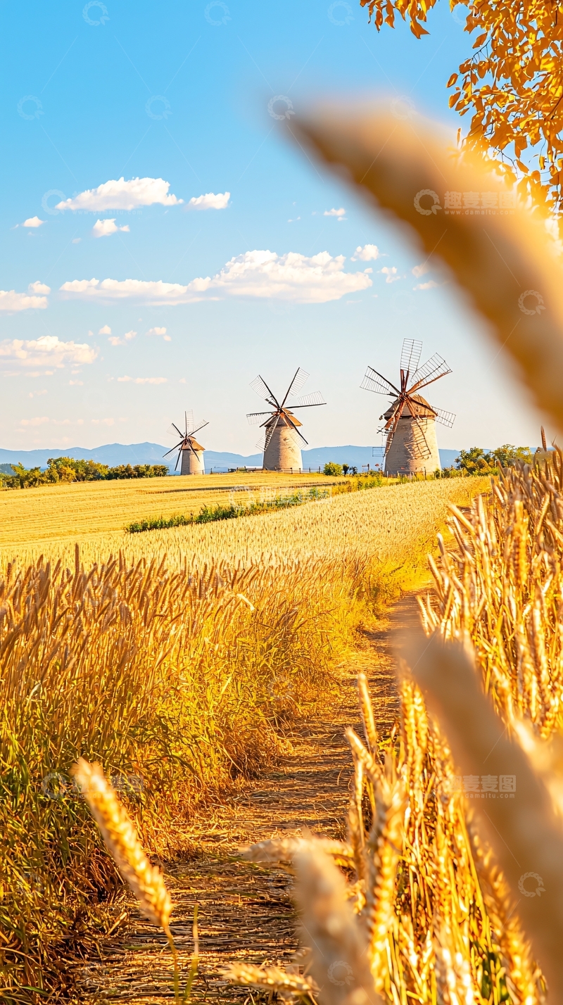 高清大图下载【趣麦麦图】秋日田野中的风车