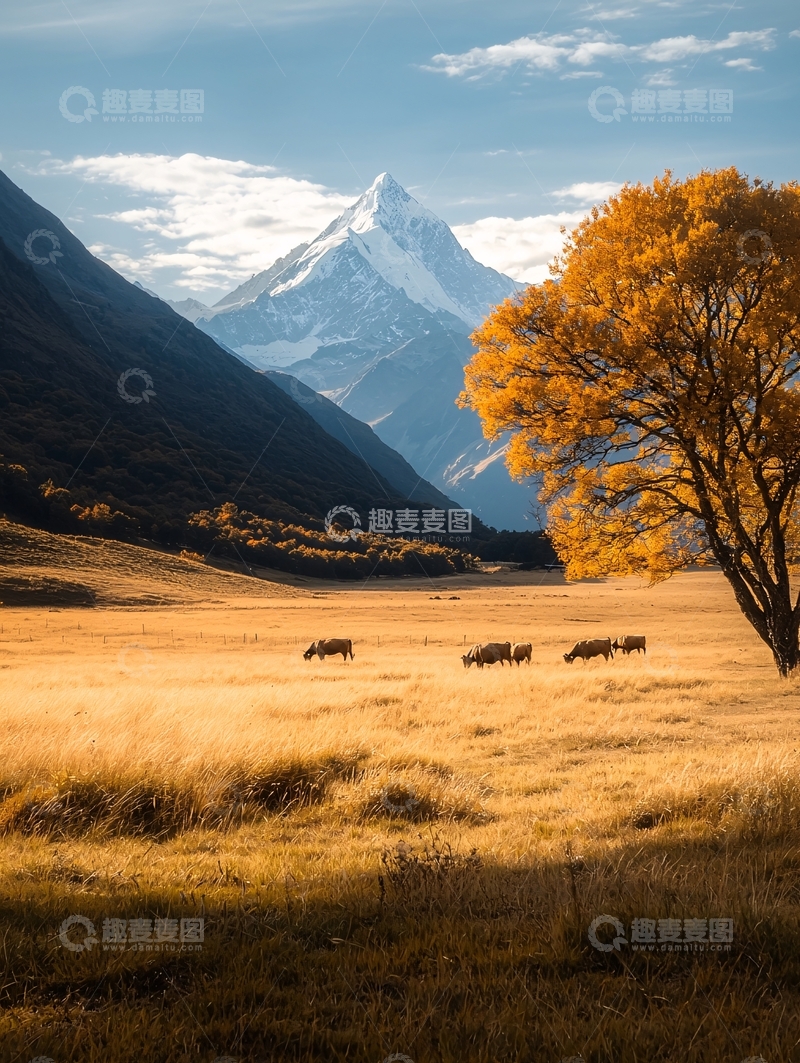 高清大图下载【趣麦麦图】金秋草甸雪山宁静