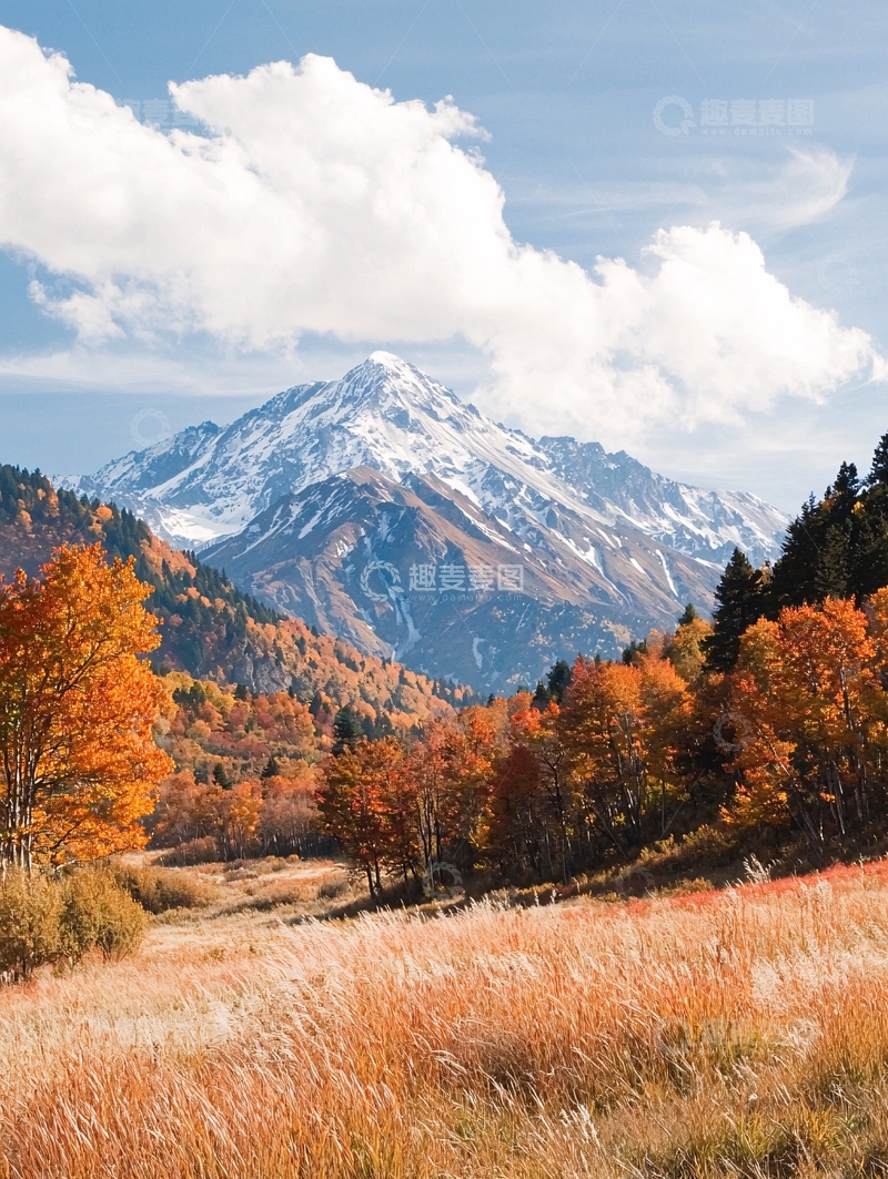 高清大图下载【趣麦麦图】秋日雪山下的金色山谷