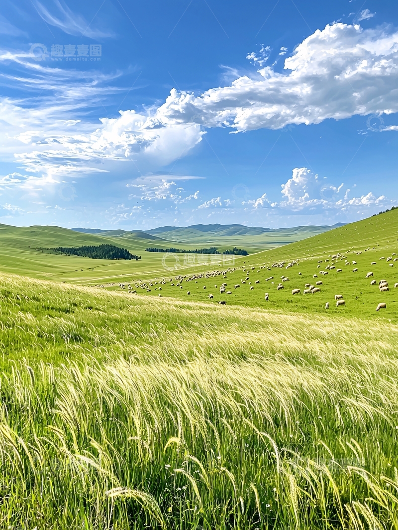 高清大图下载【趣麦麦图】草原蓝天白云绿地