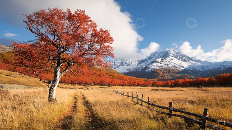 高清大图下载【趣麦麦图】秋日红叶山景