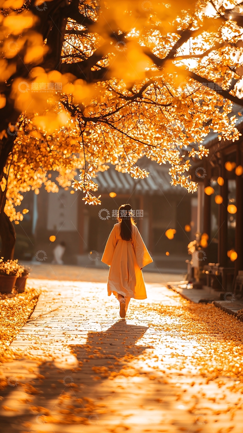 高清大图下载【趣麦麦图】秋日古街漫步