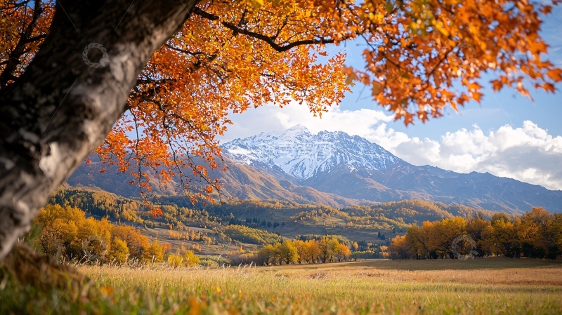 高清大图下载【趣麦麦图】秋色山景树木的唯美画面