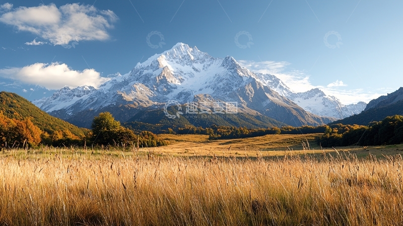 高清大图下载【趣麦麦图】雪山下的金色麦田