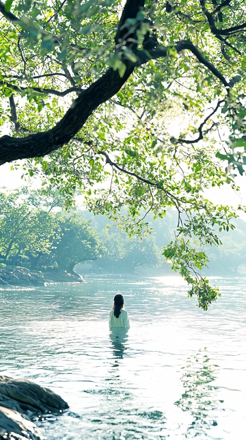 夏日河边静谧时光