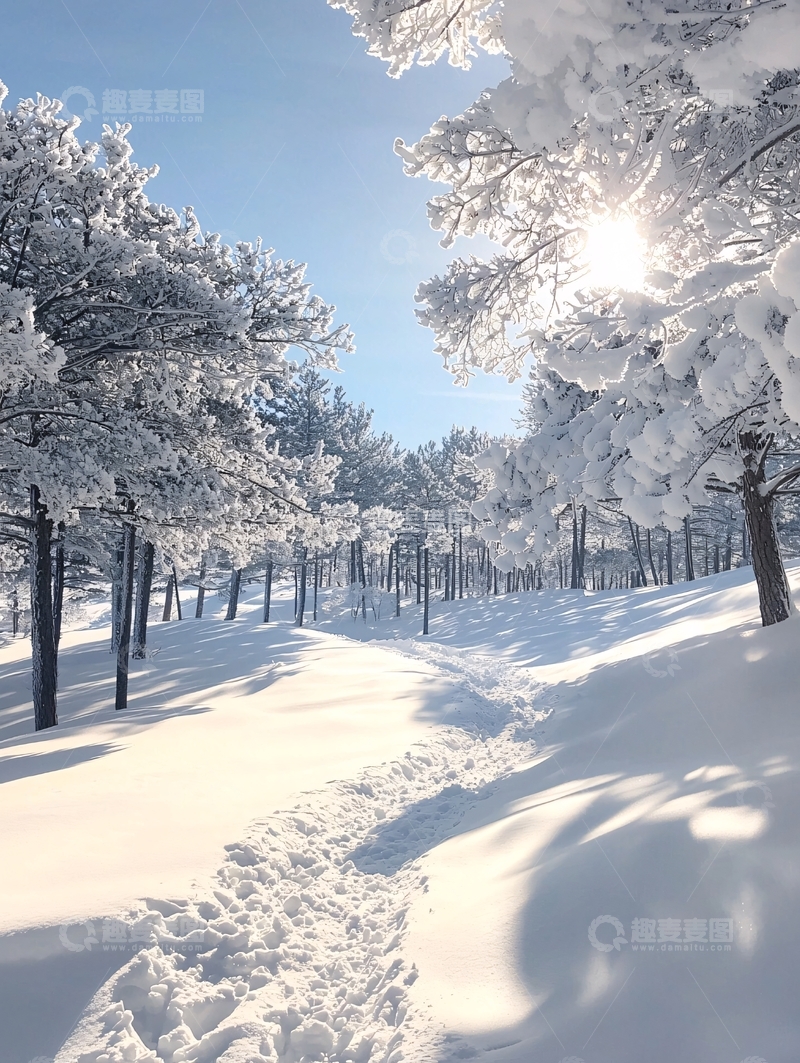 高清大图下载【趣麦麦图】雪景森林小径阳光