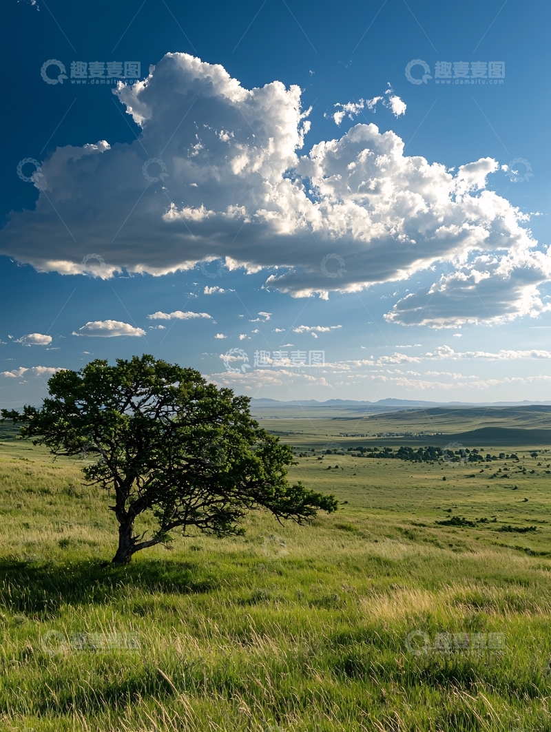 高清大图下载【趣麦麦图】草原孤树与蓝天白云