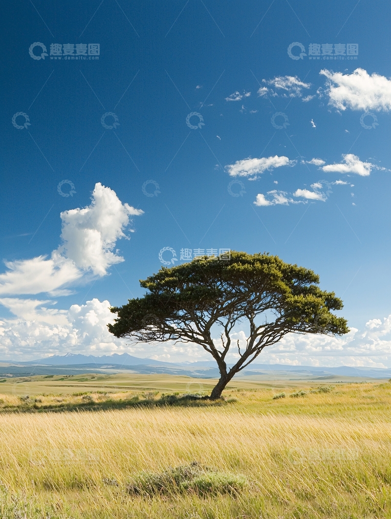 高清大图下载【趣麦麦图】草原上的孤独树