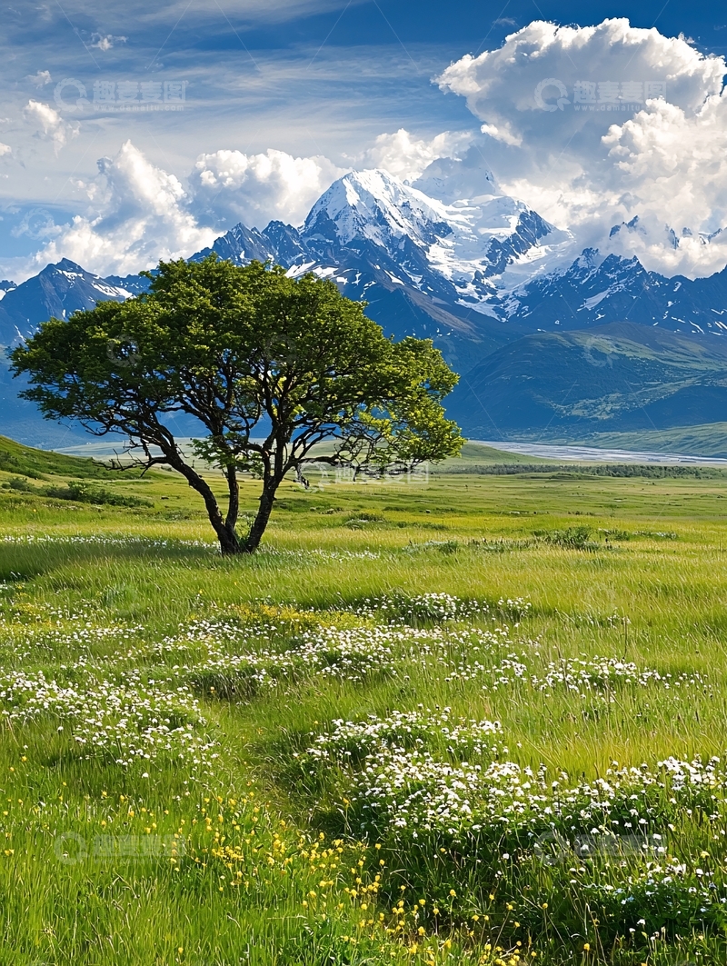 高清大图下载【趣麦麦图】雪山下的孤独树