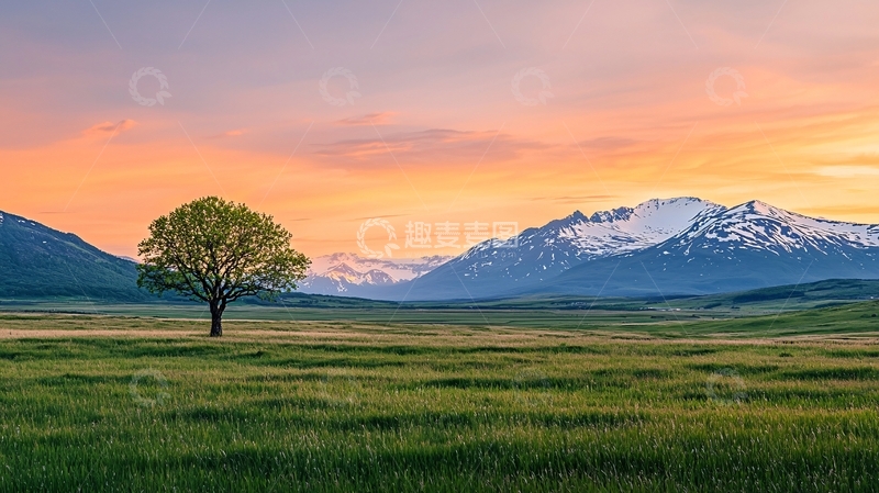 高清大图下载【趣麦麦图】夕阳下的孤独树与雪山