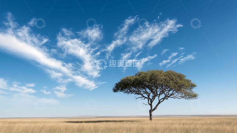 高清大图下载【趣麦麦图】草原孤树与蓝天白云