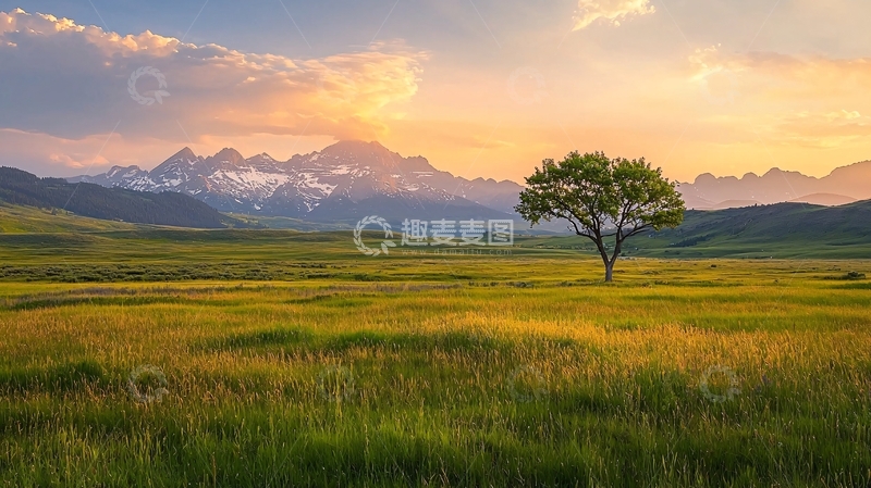 高清大图下载【趣麦麦图】夕阳下的孤独树与雪山