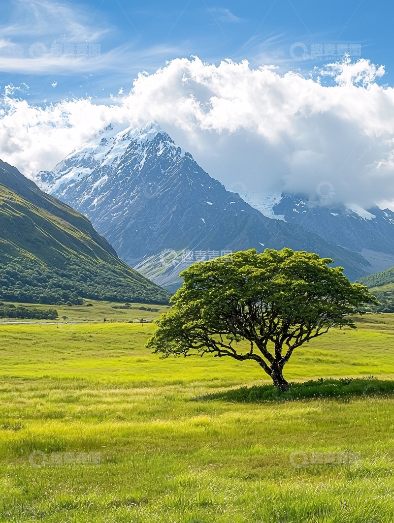高清大图下载【趣麦麦图】雪山下的孤独树