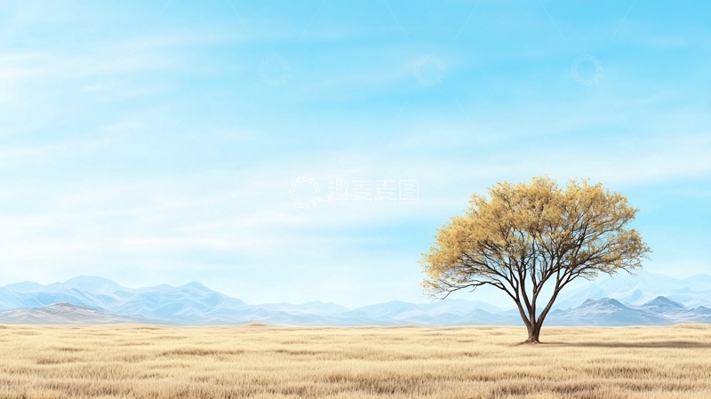 高清大图下载【趣麦麦图】孤独的树与广阔的草原