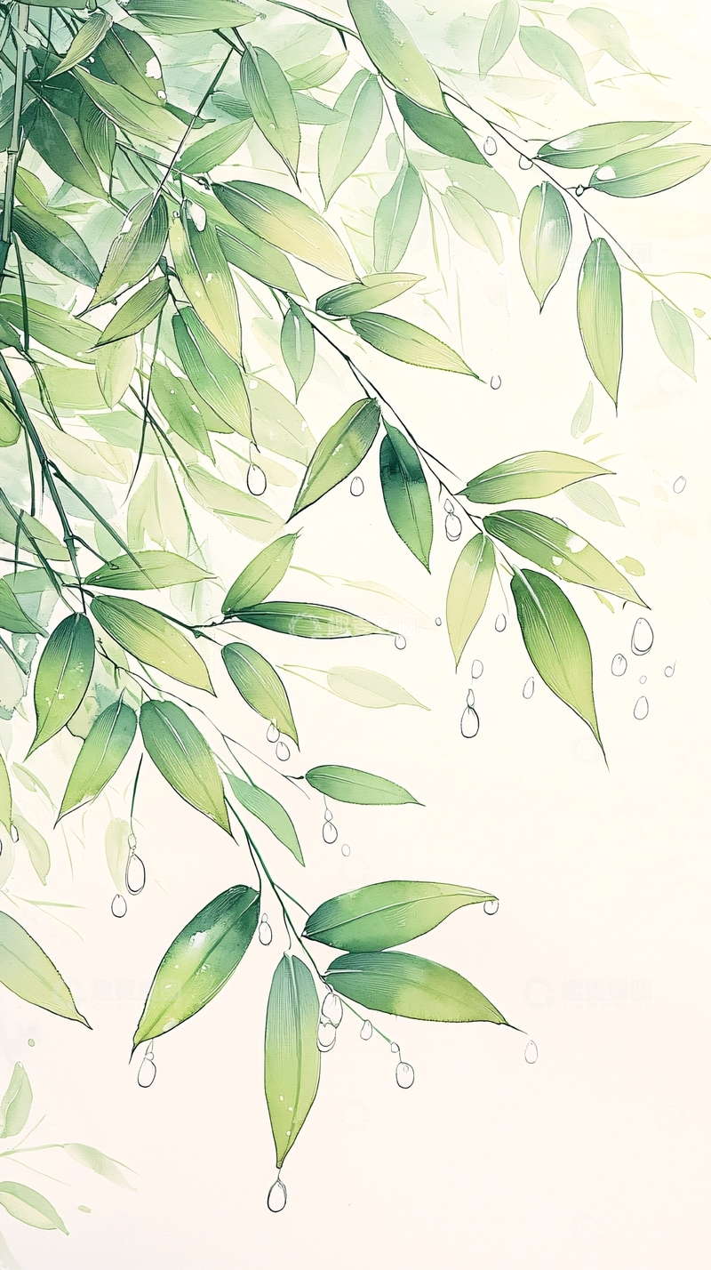 高清大图下载【趣麦麦图】雨后竹叶清新自然背景图