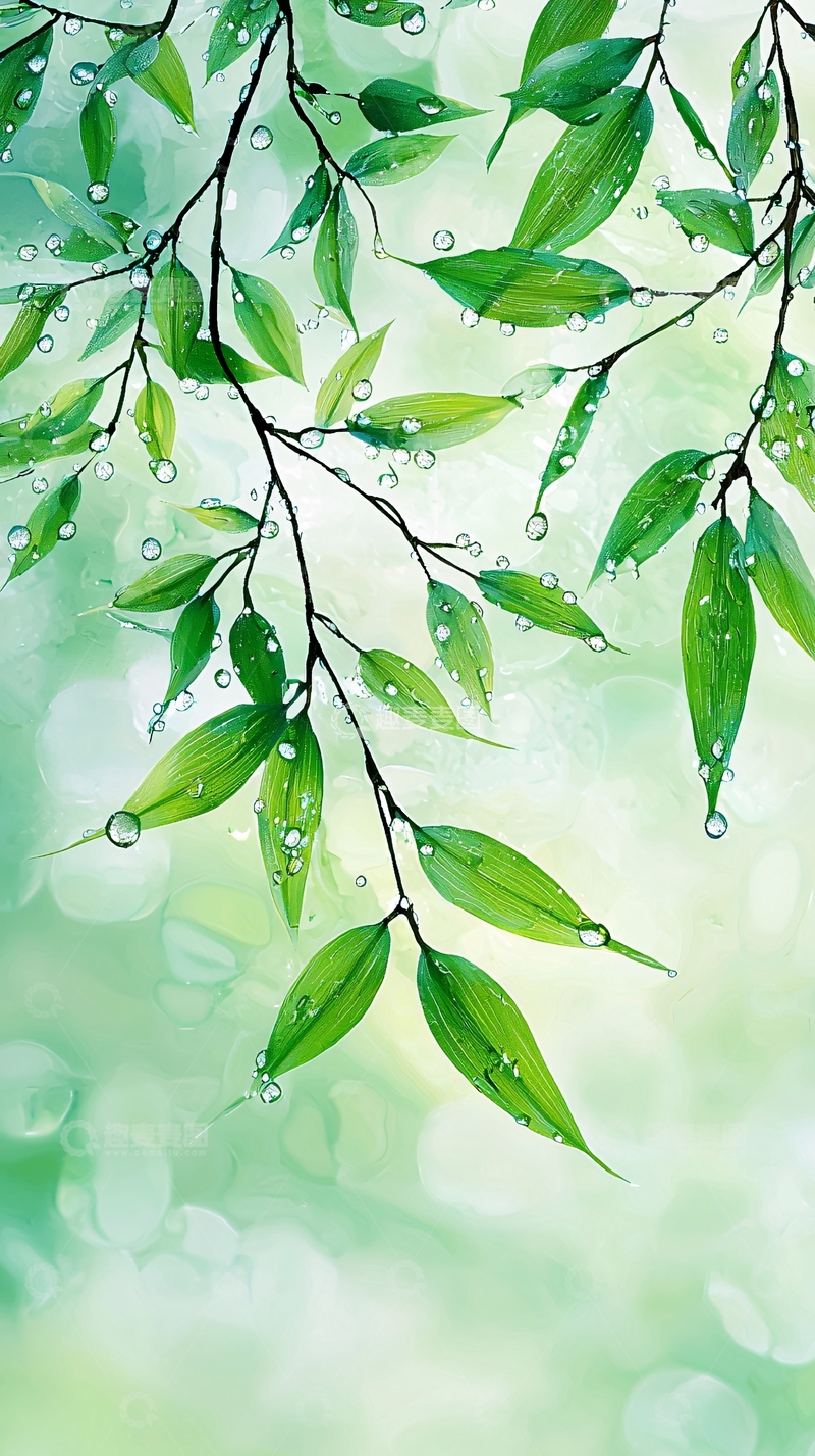 高清大图下载【趣麦麦图】雨后清新绿叶自然背景