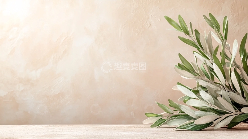 高清大图下载【趣麦麦图】橄榄枝装饰背景墙