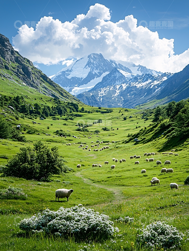 高清大图下载【趣麦麦图】绿草山坡上的羊群