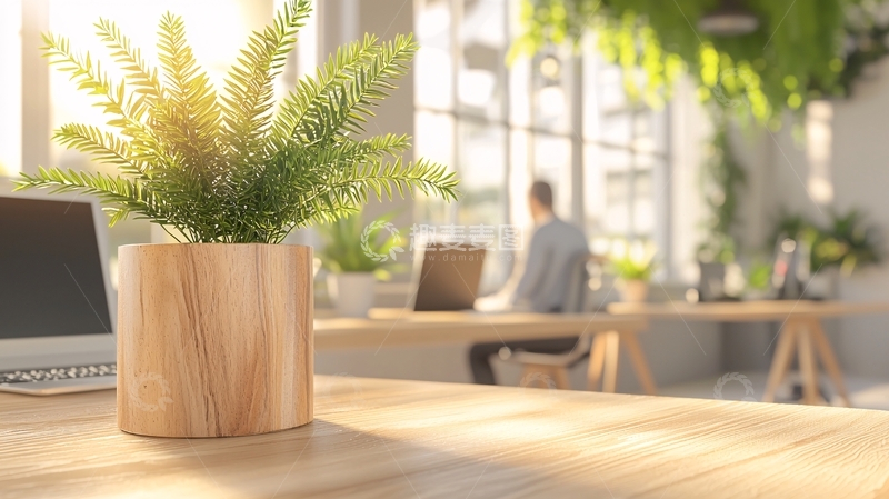 高清大图下载【趣麦麦图】办公桌上的绿植装饰