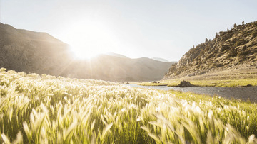 a股的最新相关信息