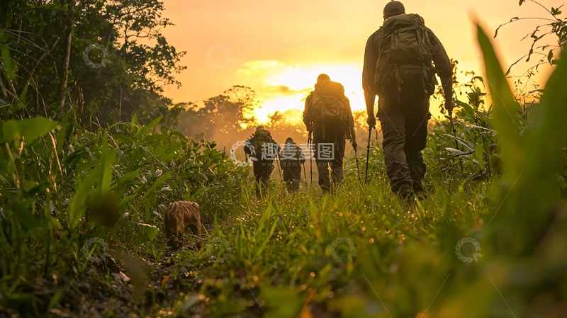 高清大图下载【趣麦麦图】丛林探险队高清图片