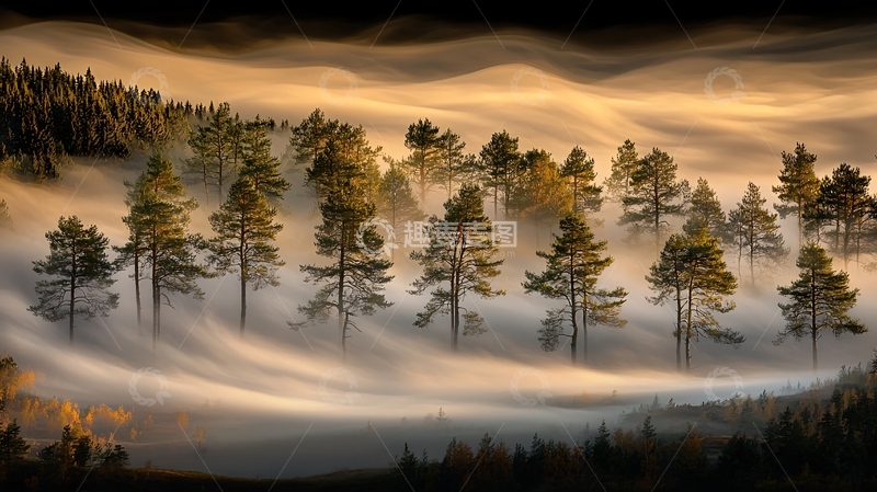 高清大图下载【趣麦麦图】雾气笼罩的森林