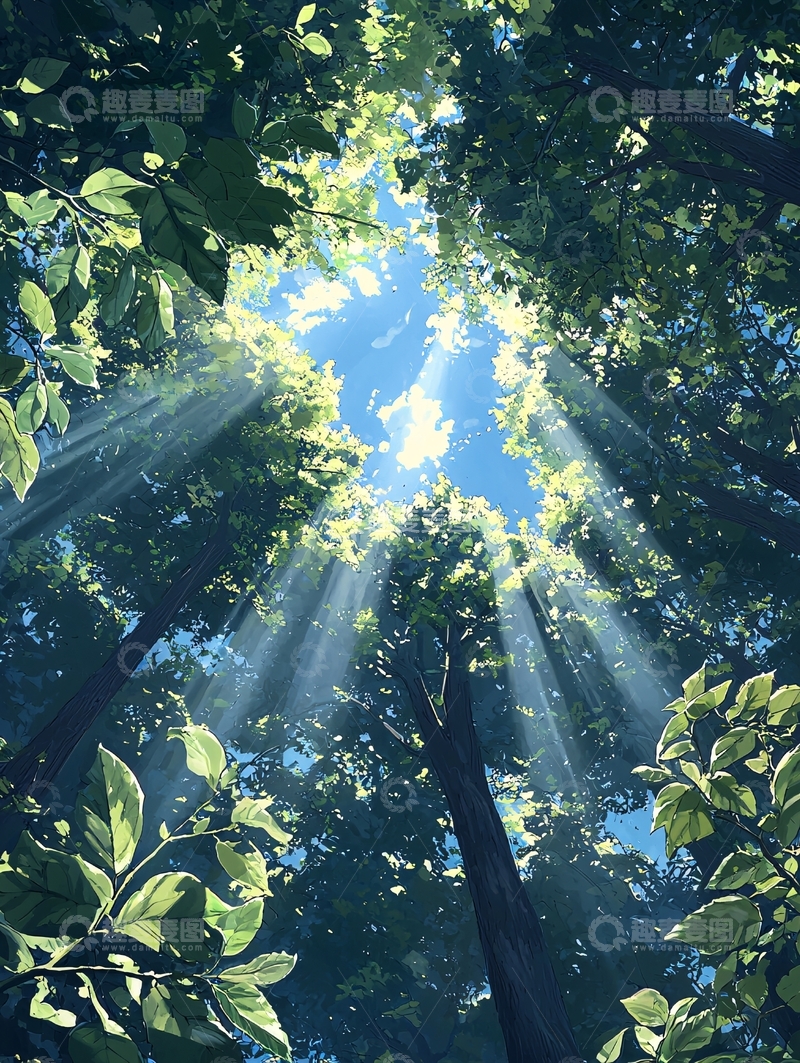 高清大图下载【趣麦麦图】仰望森林高清图片