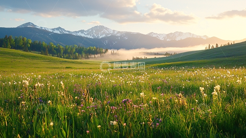 高清大图下载【趣麦麦图】金色阳光下的绿色山谷