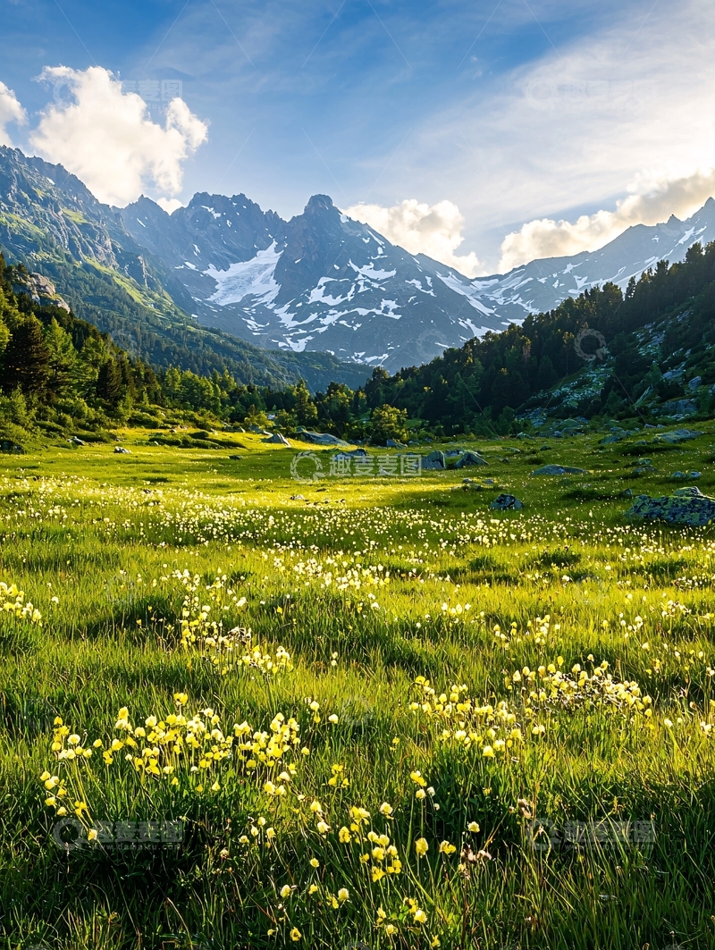 高清大图下载【趣麦麦图】翠绿草地雪山背景