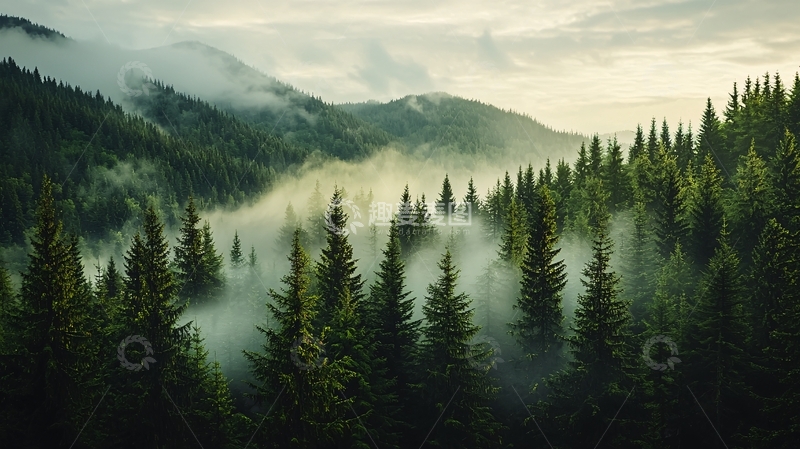 高清大图下载【趣麦麦图】雾气缭绕的山林