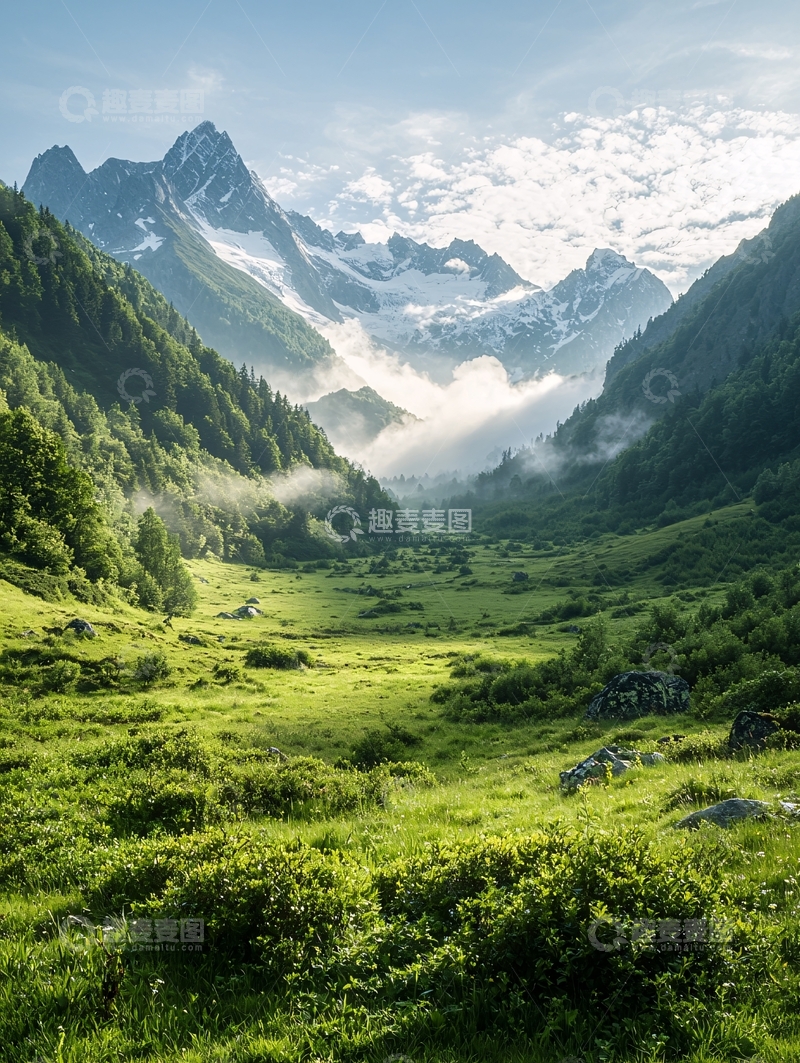 高清大图下载【趣麦麦图】山谷间阳光明媚的草地