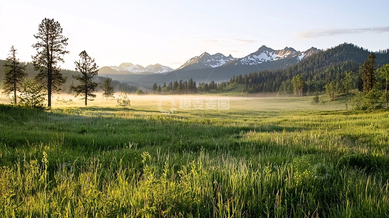 高清大图下载【趣麦麦图】晨曦下的绿色草甸