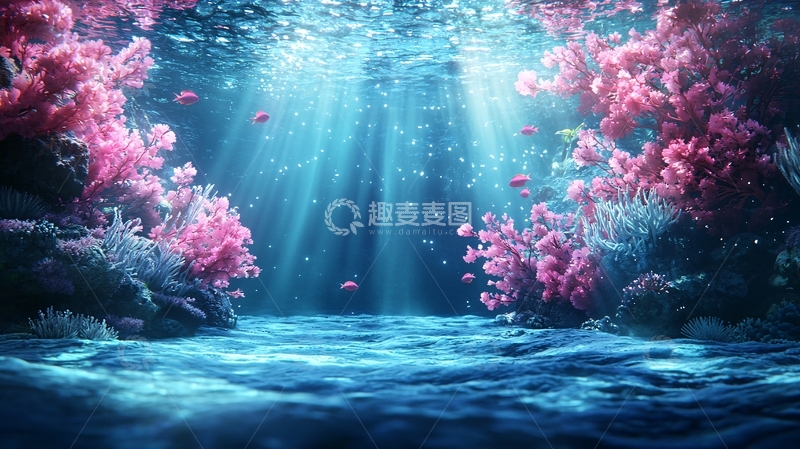 高清大图下载【趣麦麦图】海底珊瑚鱼群光影