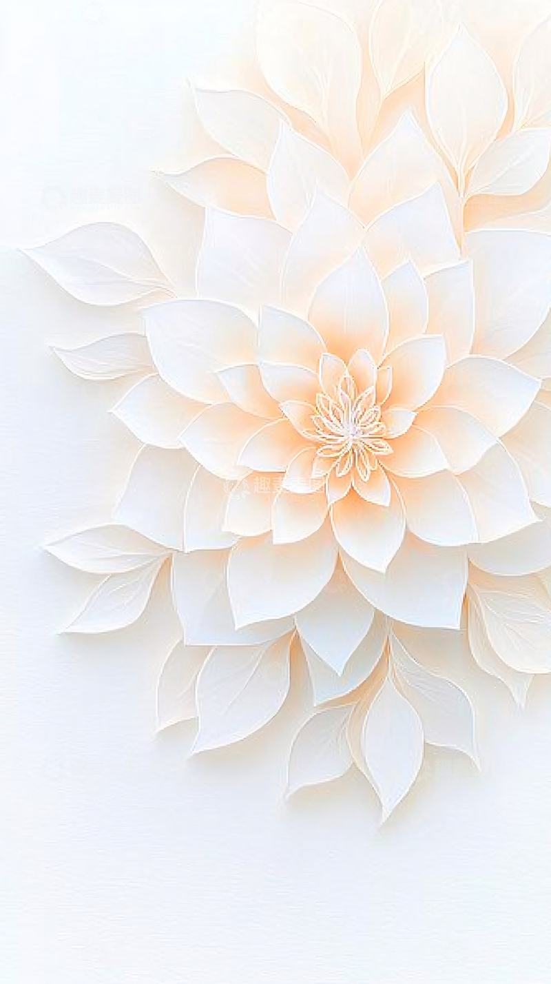 高清大图下载【趣麦麦图】白色花朵立体艺术背景图