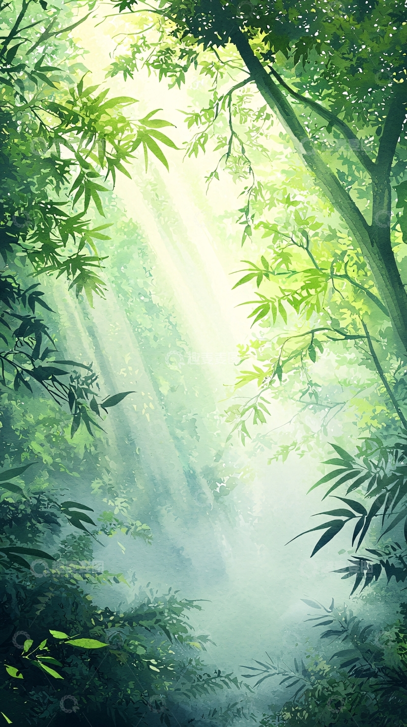 高清大图下载【趣麦麦图】森林中的阳光穿透树叶