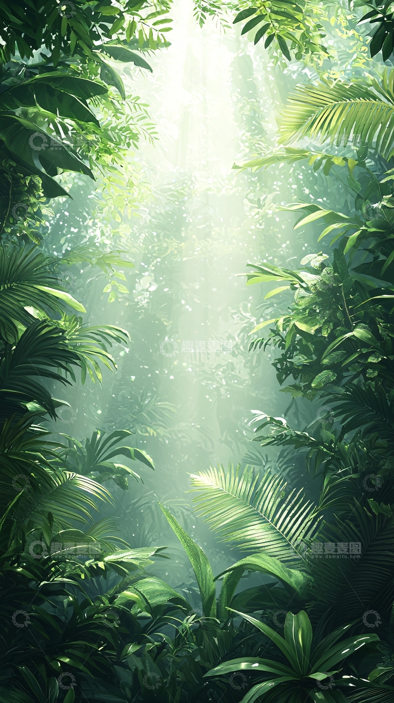 高清大图下载【趣麦麦图】热带雨林阳光穿透