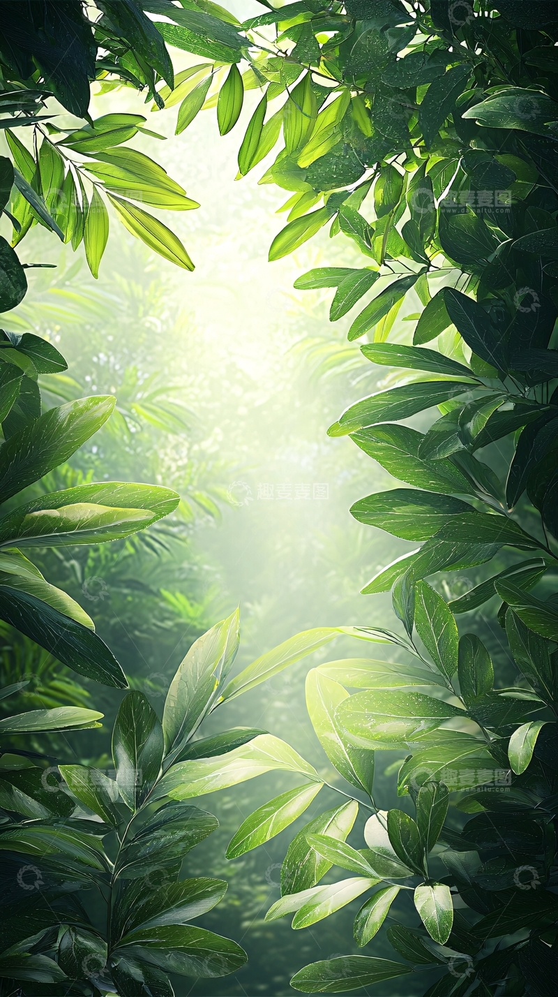 高清大图下载【趣麦麦图】阳光穿透绿叶森林背景