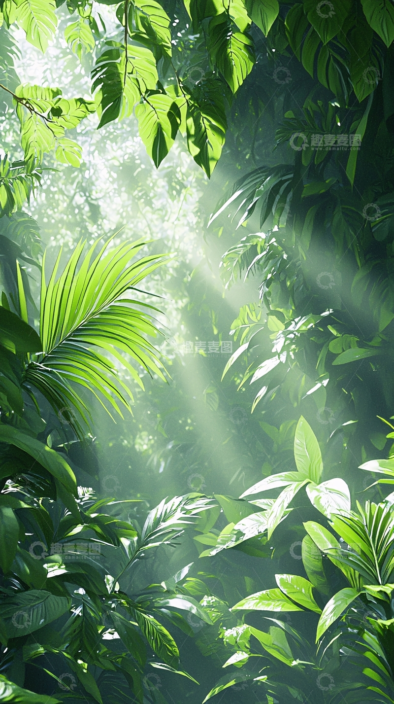 高清大图下载【趣麦麦图】阳光穿透热带雨林
