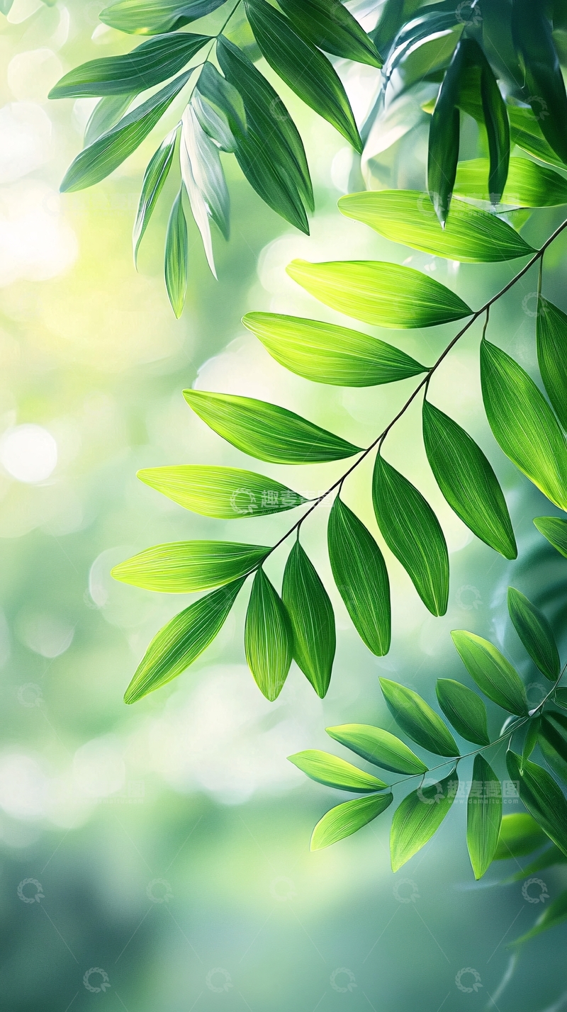 高清大图下载【趣麦麦图】清新自然绿色植物叶子背景