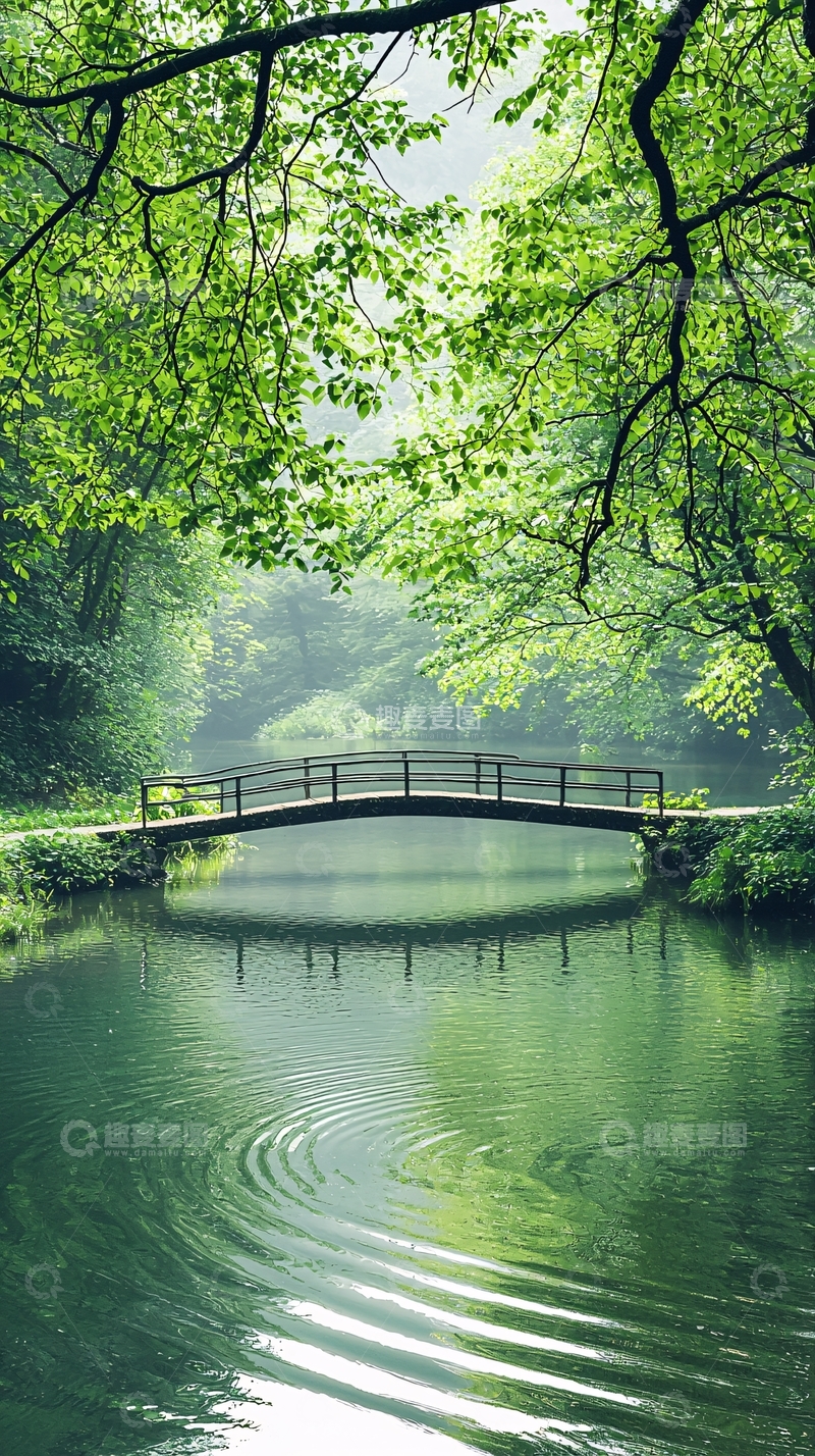 高清大图下载【趣麦麦图】绿意盎然的小桥流水自然风光